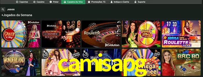 camisapg bet